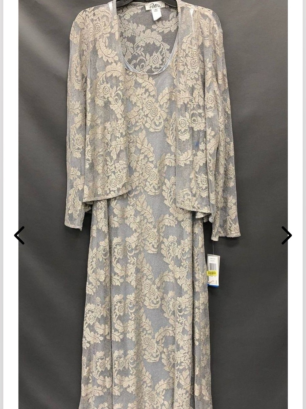 Formal Patria Silver and Cream Lace Evening Dress Label Detail NWT